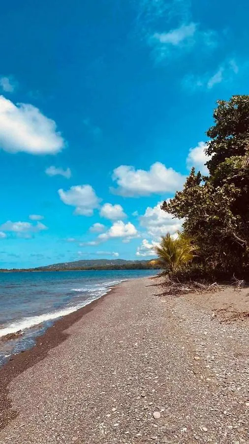 Ferienhaus Villa Blissful Tides Hope Bay